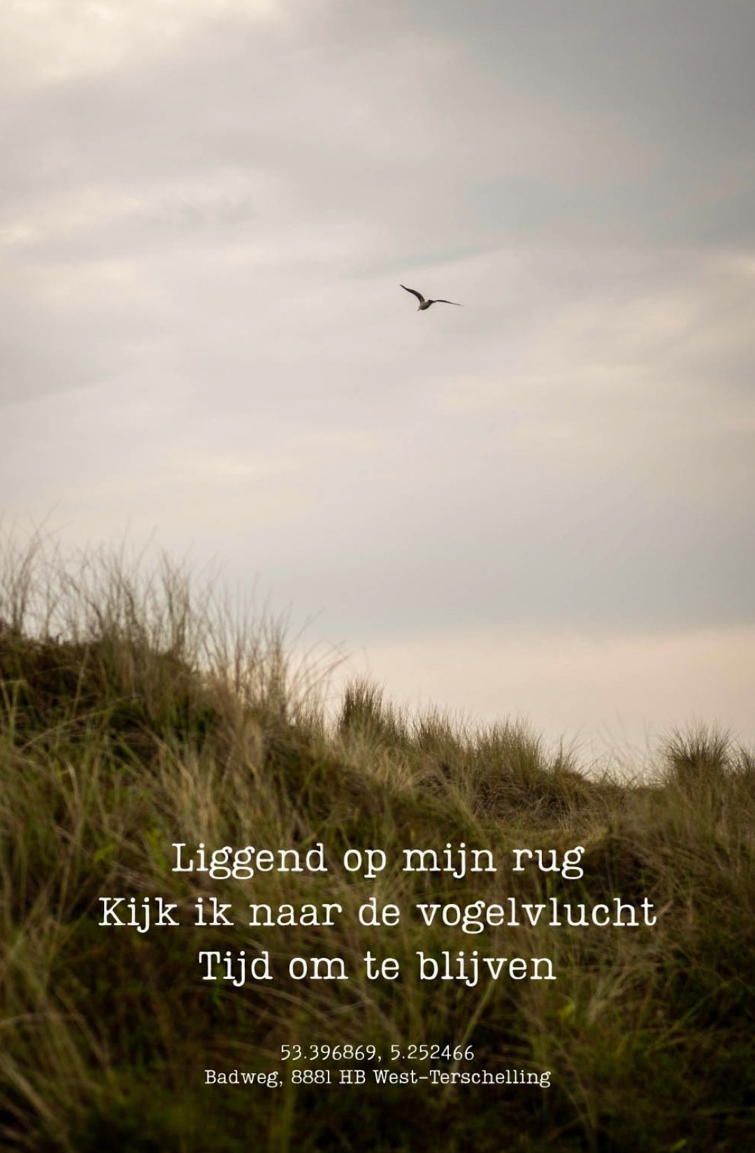 Oerol 2025
